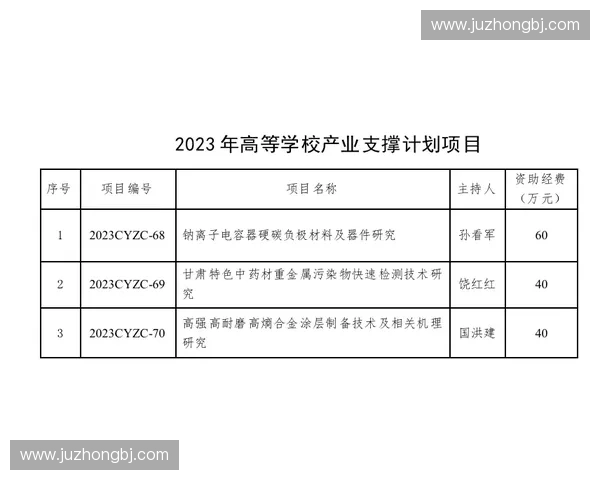强化落地支撑体系建设全面提升重点项目协同推进与成果转化实效